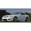 Mercedes SL Class (R230) SL550